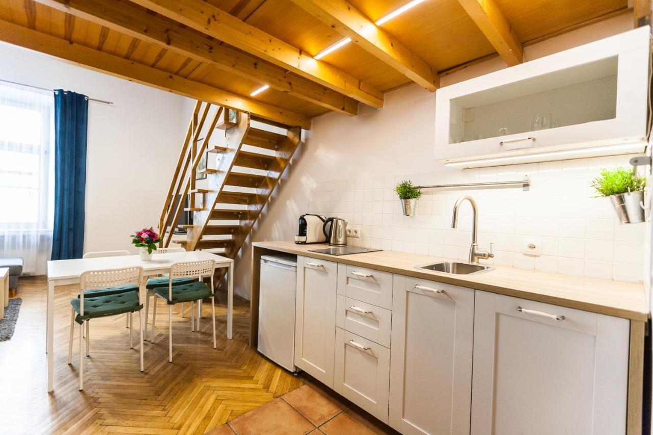Vintage Szpitalna Apartment 克拉科夫 外观 照片